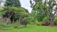 Trelissik Garden