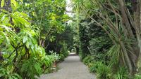 Tresco 20170829_114625