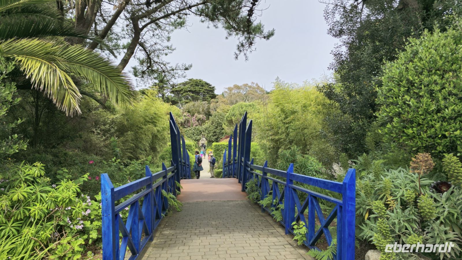 Tresco Abbeygardens