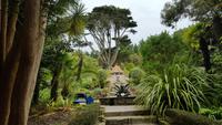 Tresco-Abbey Garden 20170829_120851
