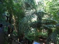 Trewidden Garden