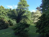 Trewidden Garden