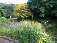 Trewidden Garden