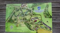 Trewidden Garden