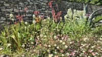 Trewidden Garden