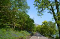 Trossachs