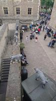 Unterwegs auf den Mauern des Tower of London