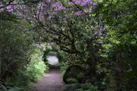 Urwaldidylle