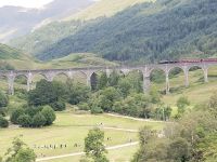 Viaduct in Glenfillian.jpg