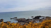 Victoria Cliffs Arbroath 