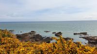 Victoria Cliffs Arbroath 