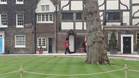 Wache marschiert im Tower of London