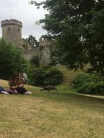 Warwick Castle