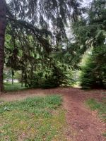Weg zum Fluss Dee