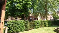 Weitere Wohnhäuser innerhalb Windsor Castle