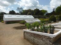 West Dean Garden 