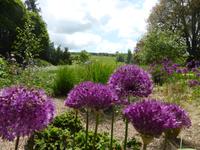West Dean Garden 