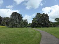 West Dean Garden