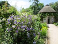 West Dean Garden