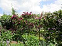 West Dean Garden