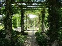 West Dean Garden