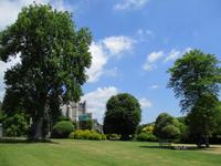 West Dean Garden