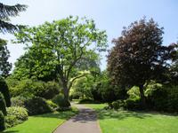 West Dean Garden