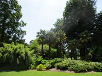 West Dean Garden