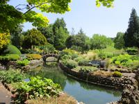 West Dean Garden