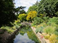 West Dean Garden