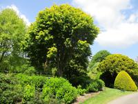 West Dean Garden
