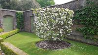West Dean Gardens 20180513 130450