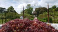West Dean Gardens 20180513 130602