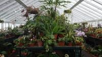 West Dean Gardens 20180513 130954