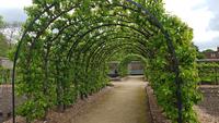 West Dean Gardens 20180513 131715