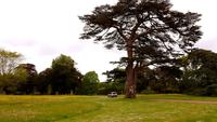 West Dean Gardens 20180513 134045