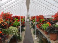 West Dean Gardens