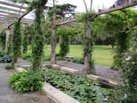 West Dean Gardens