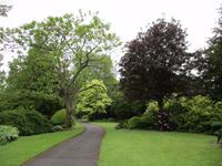 West Dean Gardens