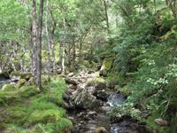 West Higland Way