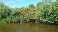 Wilde Natur rund ums Falkirk Wheel