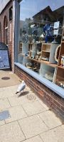 Window Shopping