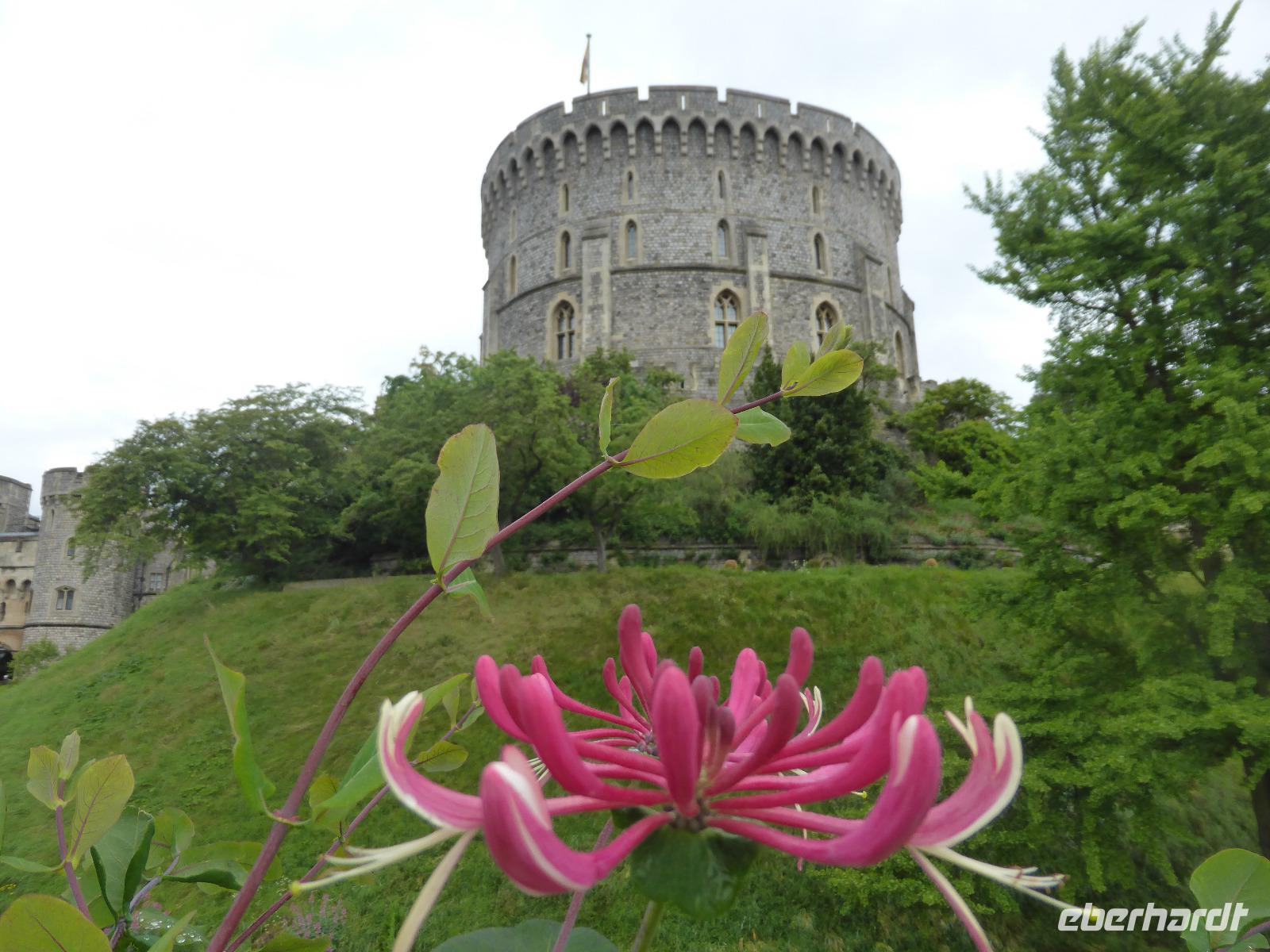 Windsor Castle - Bergfried