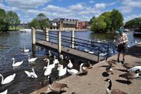 Windsor