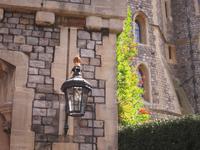 Windsor