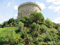 Windsor