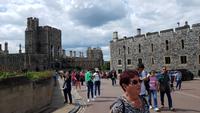 Windsor