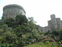 Windsor