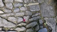 das Herz des Riesen in St. Michael Mount