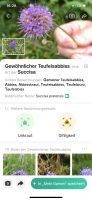 für Interessierte